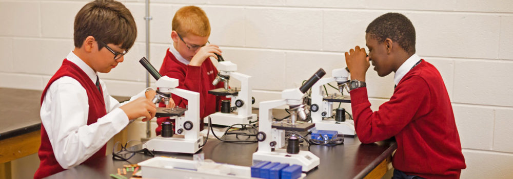 boys in science lab using microscopes